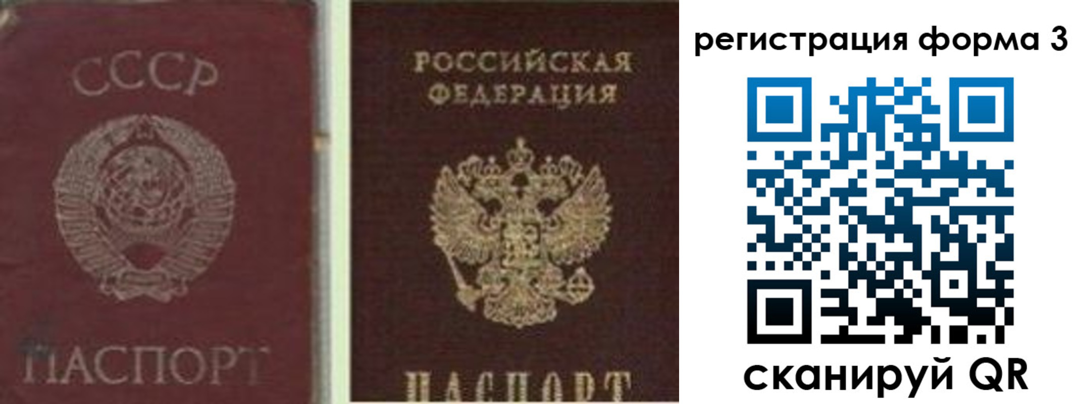 прописка для школы в Калининграде